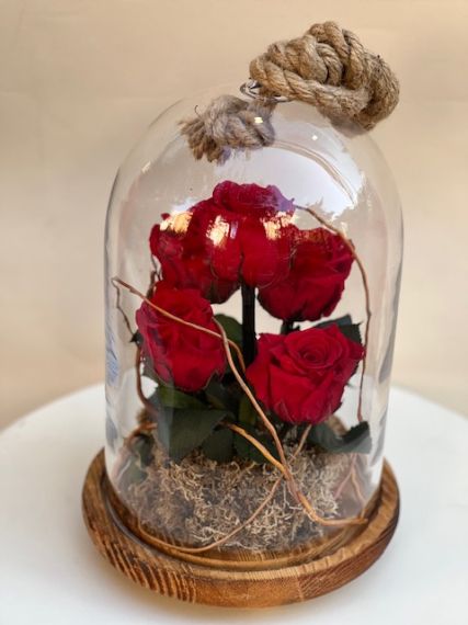 Червени вечни рози в стъклен купол