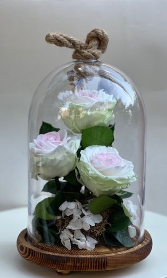 Розово- зелени вечни рози в стъклен купол