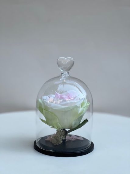 Трицветна вечна роза в стъклен купол