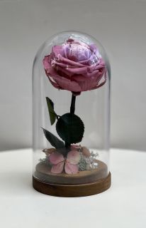 Розово- лилава вечна роза в стъклен купол