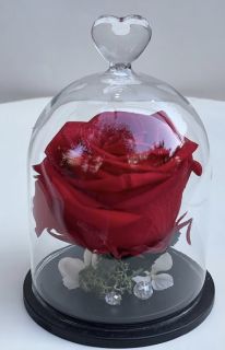 Червена вечна роза в стъклен купол