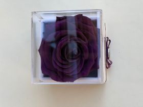 Тъмно лилава вечна роза в кутия